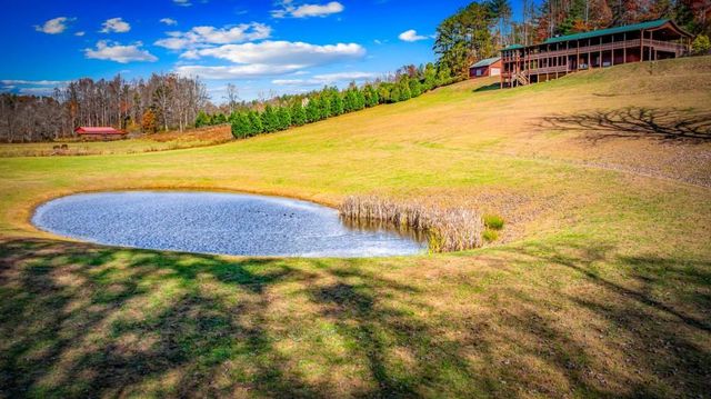 908 Cashes Valley Road, Cherry Log, GA 30522