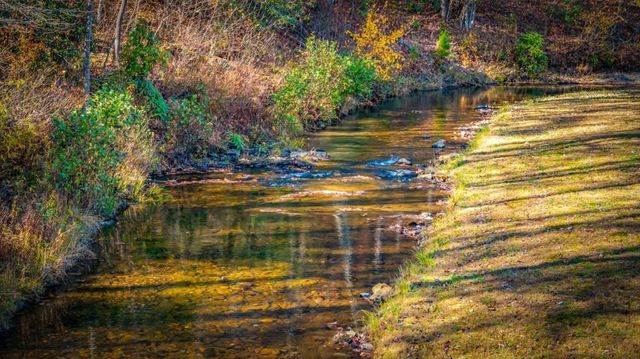 908 Cashes Valley Road, Cherry Log, GA 30522