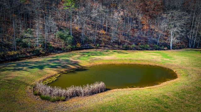 908 Cashes Valley Road, Cherry Log, GA 30522