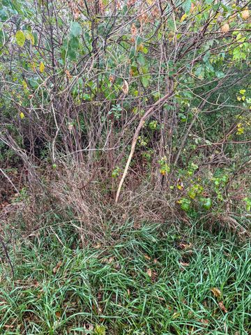 4616 Groves End Lane SE, Rochester, MN 55904