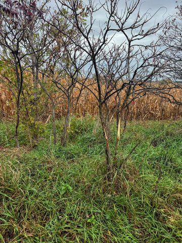 4616 Groves End Lane SE, Rochester, MN 55904