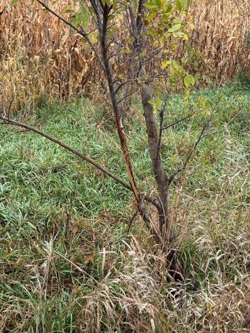 4616 Groves End Lane SE, Rochester, MN 55904