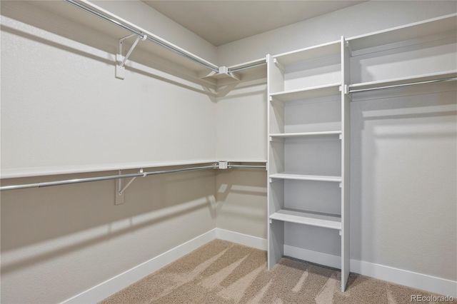 1556 Stablecross Drive, Castle Pines, CO 80108