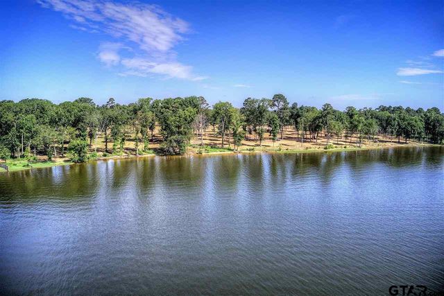 20629 Wycliff Dr., Chandler, TX 75758