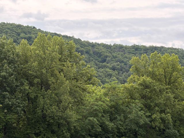 1996 BUCK MOUNTAIN RD, Bentonville, VA 22610