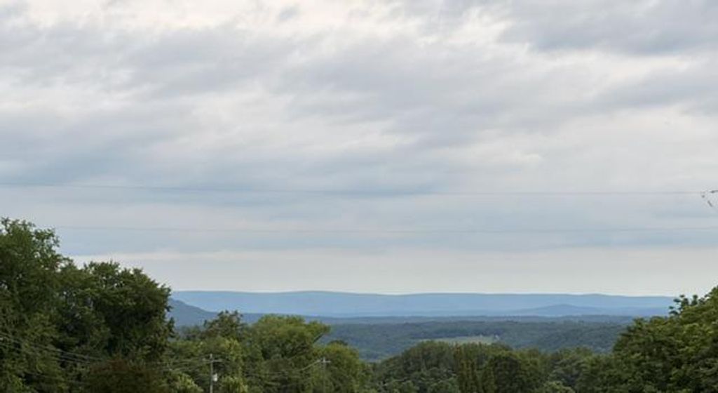 1996 BUCK MOUNTAIN RD, Bentonville, VA 22610