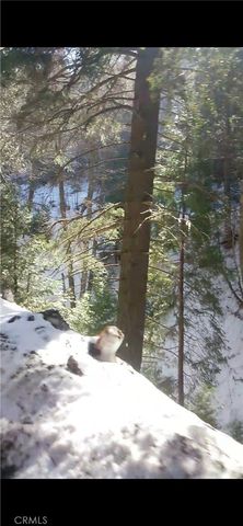 0 Saxon, Crestline, CA 92325