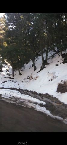 0 Saxon, Crestline, CA 92325