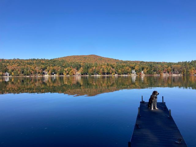 163 North Shore Road, New Durham, NH 03855