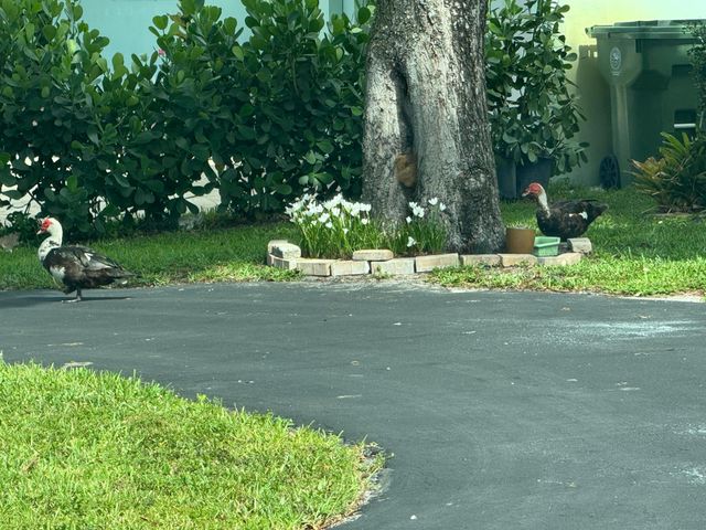 8780 NW 11th Street, Pembroke Pines, FL 33024