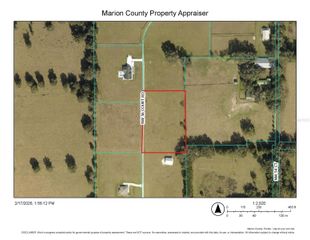 TBD NW 56 COURT RD, Reddick, FL 32686