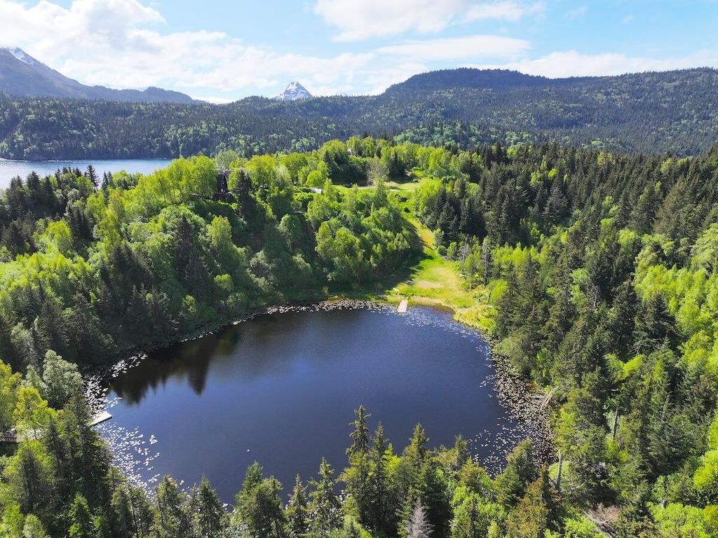 46514 Sidelinger Trail, Halibut Cove, AK 99603 photo 40