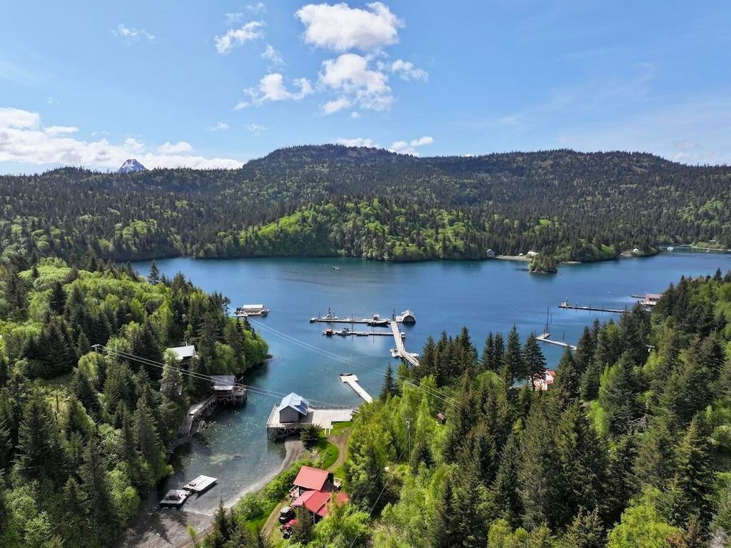 46514 Sidelinger Trail, Halibut Cove, AK 99603 photo 45