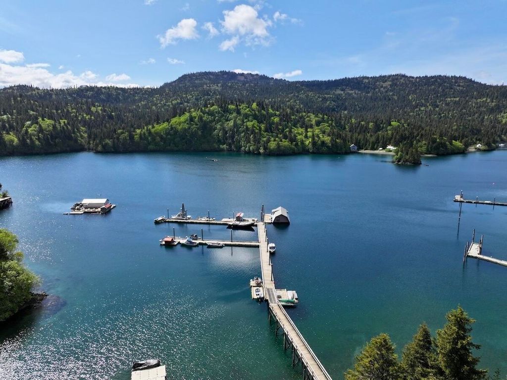 46514 Sidelinger Trail, Halibut Cove, AK 99603 photo 46