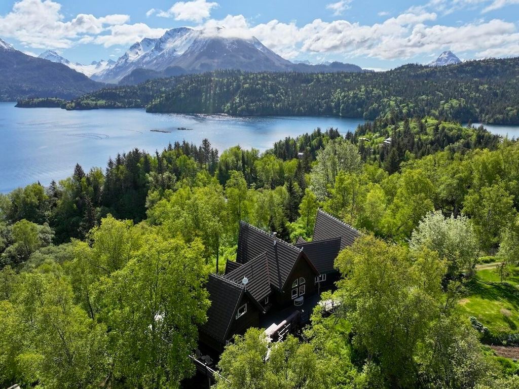 46514 Sidelinger Trail, Halibut Cove, AK 99603 photo 6