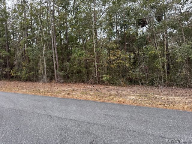 10350 N Academy Drive, Citrus Springs, FL 34434