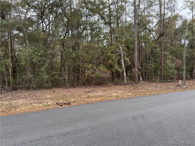 10350 N Academy Drive, Citrus Springs, FL 34434