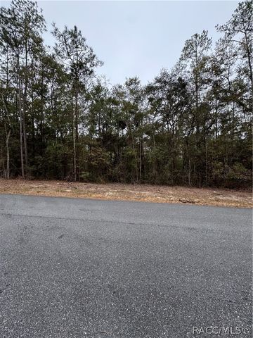 10350 N Academy Drive, Citrus Springs, FL 34434