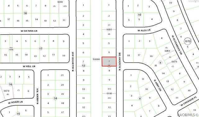 10350 N Academy Drive, Citrus Springs, FL 34434