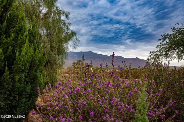 9743 S Calle De Buena Vista, Safford, AZ 85546