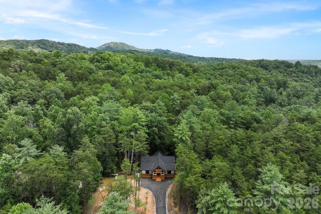 338 Hawks Terrace, Lake Lure, NC 28746