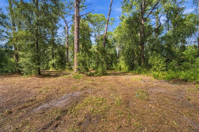 867 SUNSET LANE, Lutz, FL 33549