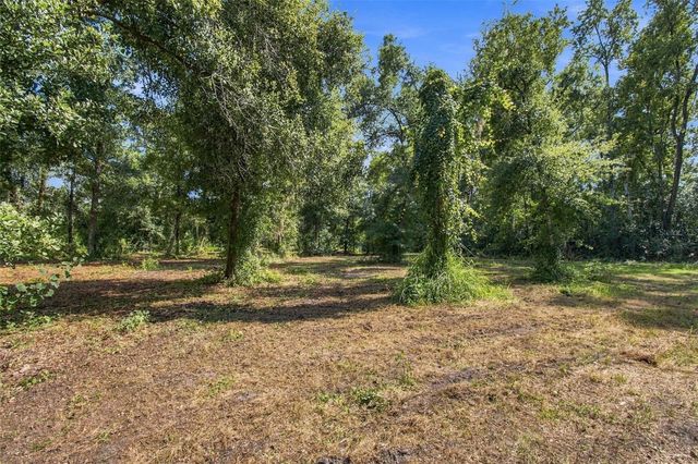 867 SUNSET LANE, Lutz, FL 33549