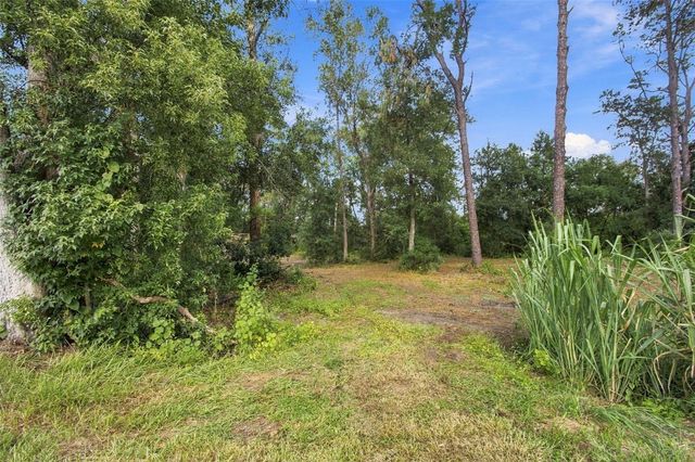 867 SUNSET LANE, Lutz, FL 33549
