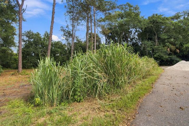 867 SUNSET LANE, Lutz, FL 33549