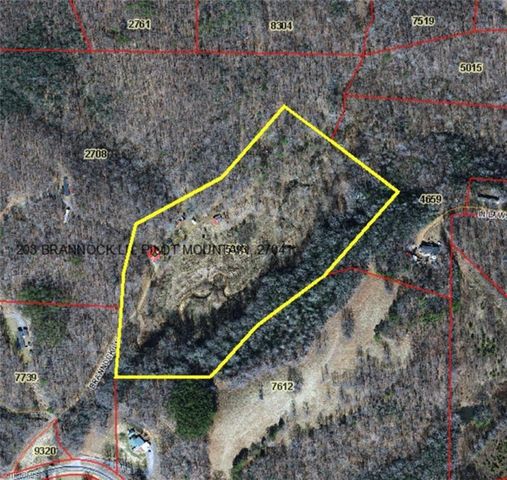 203 Brannock Lane, Pilot Mountain, NC 27041