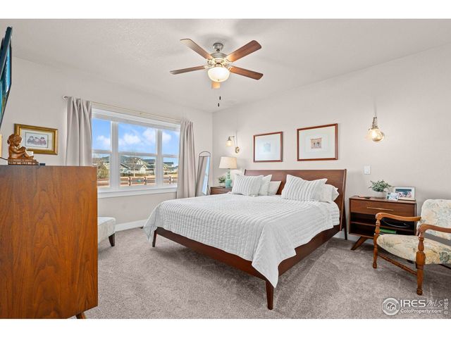 1910 Tidewater Ln, Windsor, CO 80550