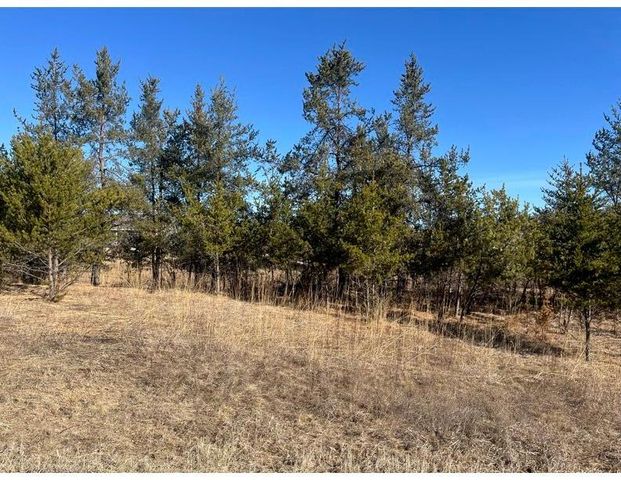 TBD 1st Avenue, Breezy Point, MN 56472