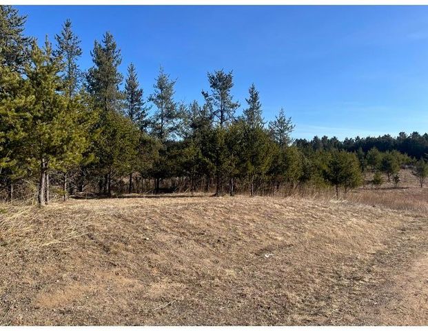 TBD 1st Avenue, Breezy Point, MN 56472