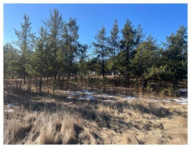 TBD 1st Avenue, Breezy Point, MN 56472