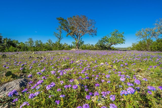 126 W Hunters Pointe Dr, Kerrville, TX 78028