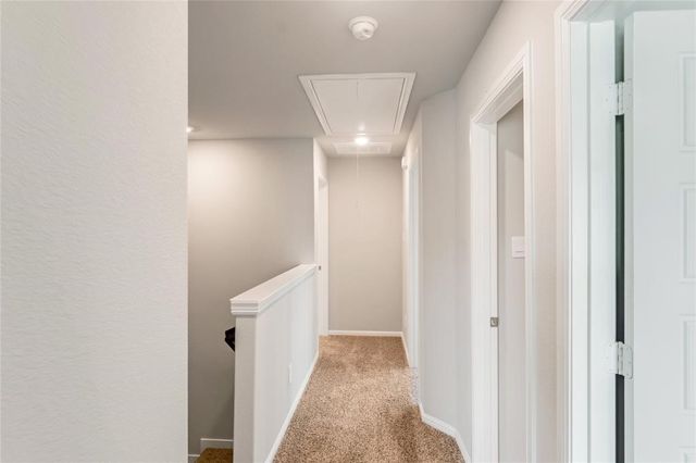 3137 Pecan Farm Lane, Fort Worth, TX 76140