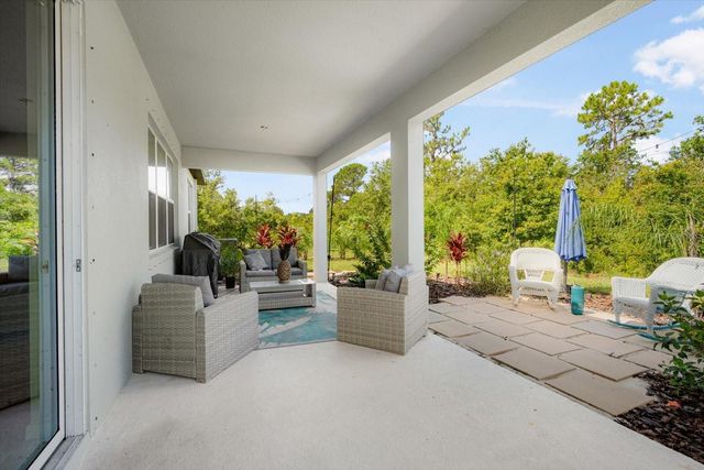 13157 PEACHLEAF AVENUE, Riverview, FL 33579
