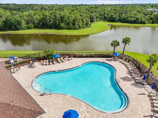 13157 PEACHLEAF AVENUE, Riverview, FL 33579