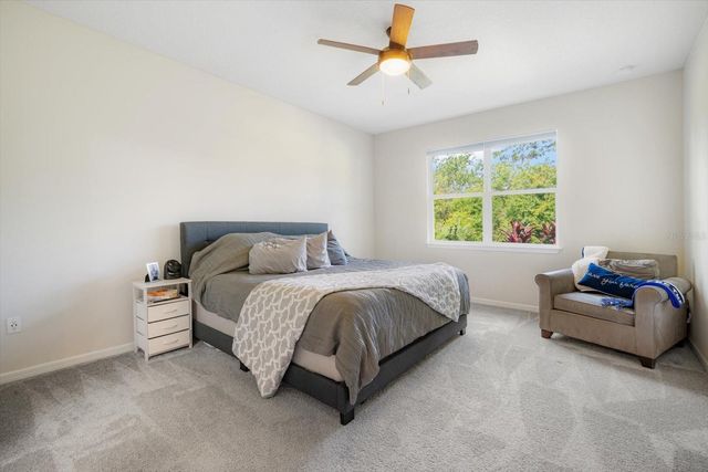 13157 PEACHLEAF AVENUE, Riverview, FL 33579