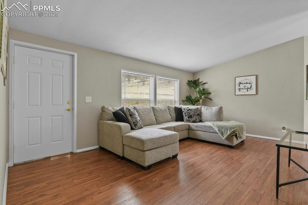 4687 W Highway 24, Florissant, CO 80816 — photo 2