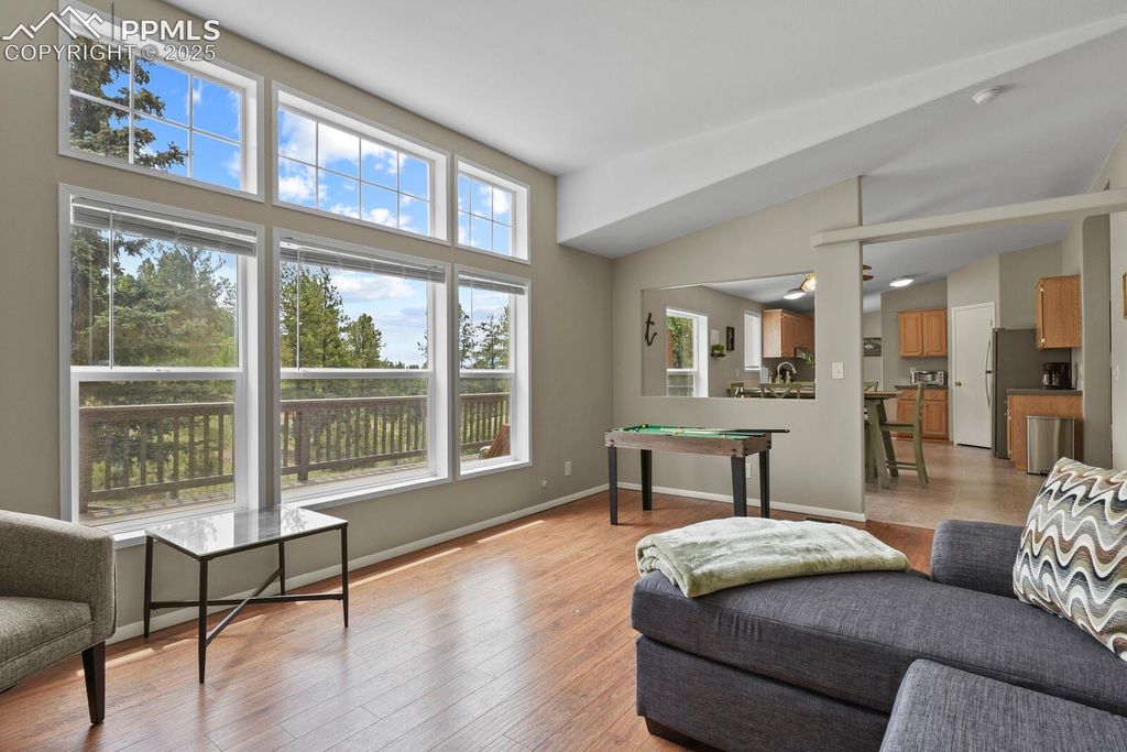 4687 W Highway 24, Florissant, CO 80816 — photo 5