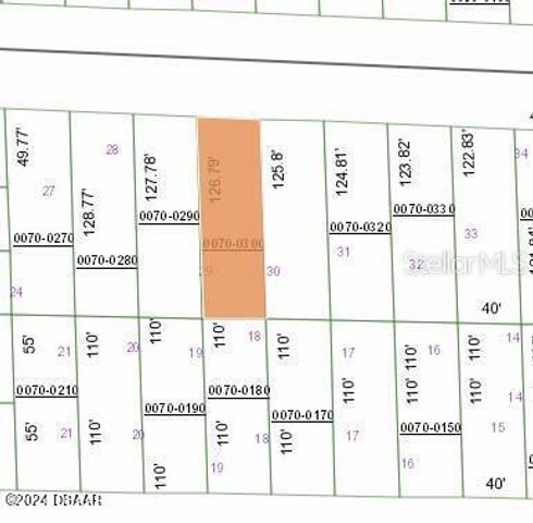 129 W Virginia Street, Hawthorne, FL 32640