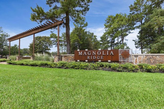 229 Douglas Hills Drive, Magnolia, TX 77354