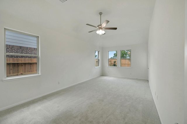 21922 Iris Colony Drive, Waller, TX 77484