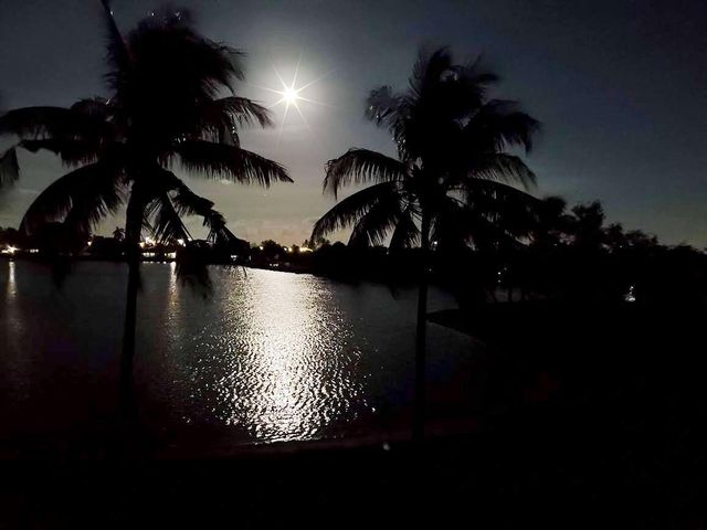 7780 STONE HARBOUR Drive 4, Lake Worth, FL 33467