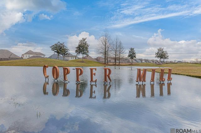 3805 Kingsbarns Dr, Zachary, LA 70791
