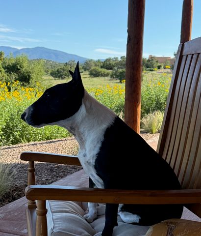 176 Principe De Paz, Santa Fe, NM 87508