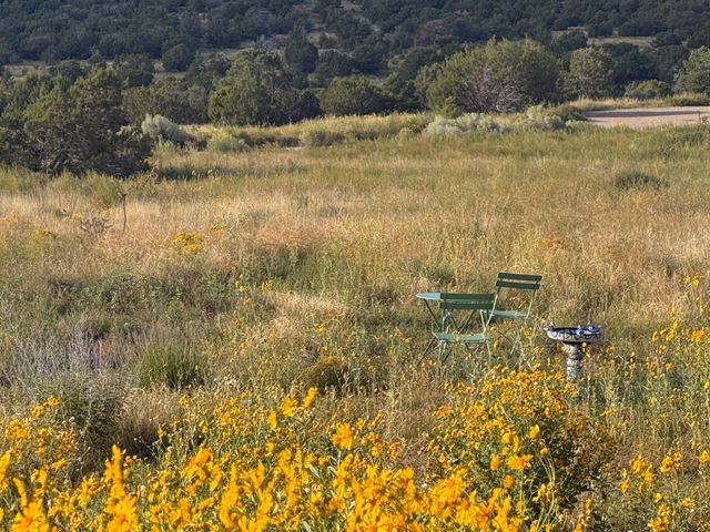 176 Principe De Paz, Santa Fe, NM 87508