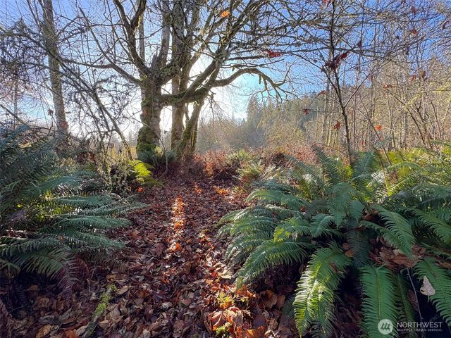 714 Hunt Road, Port Angeles, WA 98363