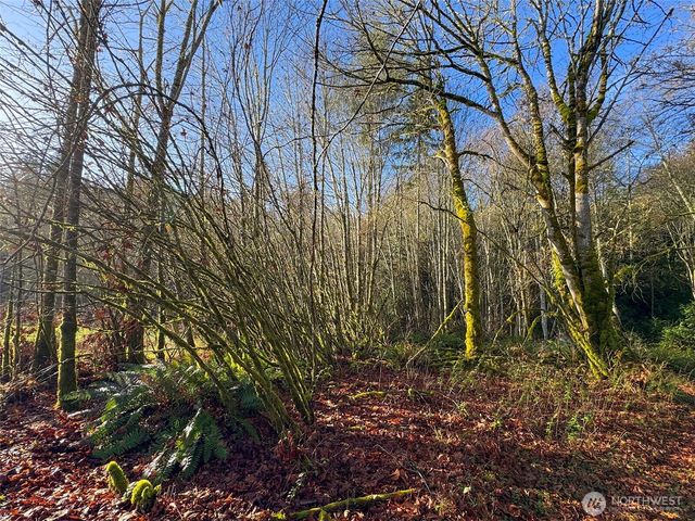 714 Hunt Road, Port Angeles, WA 98363